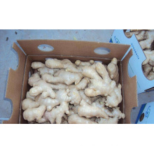 Natural Air Dried Ginger